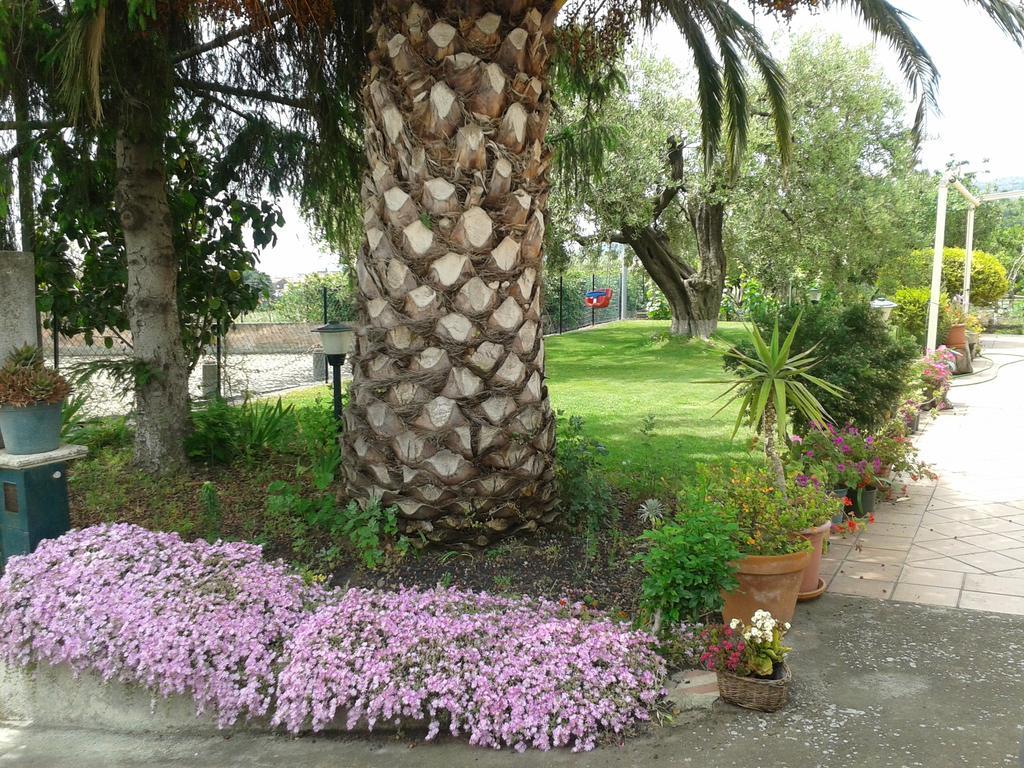 Villa Etna Piedimonte Etneo Bagian luar foto