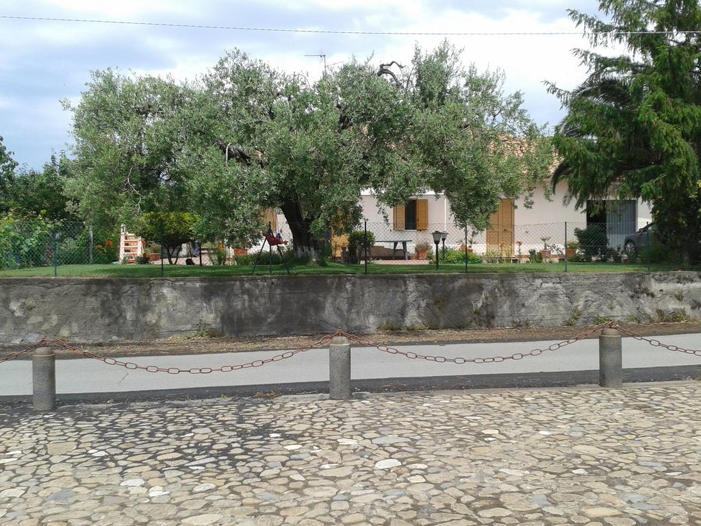 Villa Etna Piedimonte Etneo Bagian luar foto